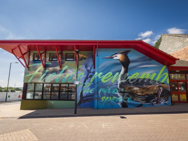 Large water bird painted on the end wall beside the entrance to Mexborough Library.