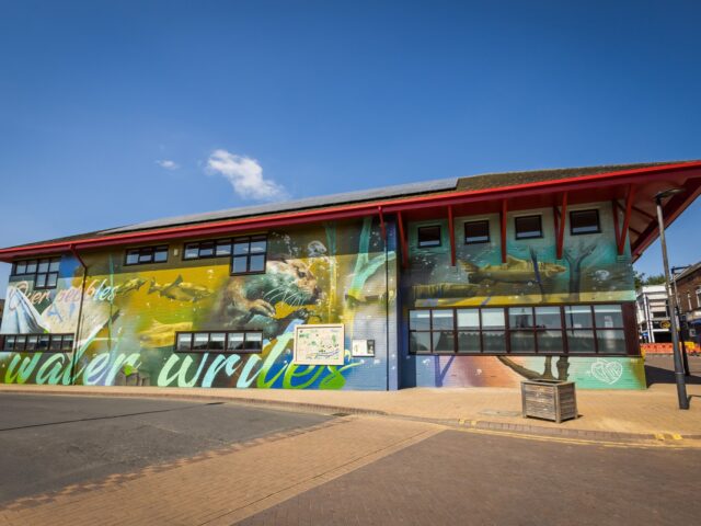 Street-side view of the otter and fish artwork across the long wall of Mexborough Library.